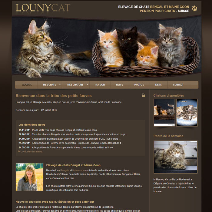 Lounycat
